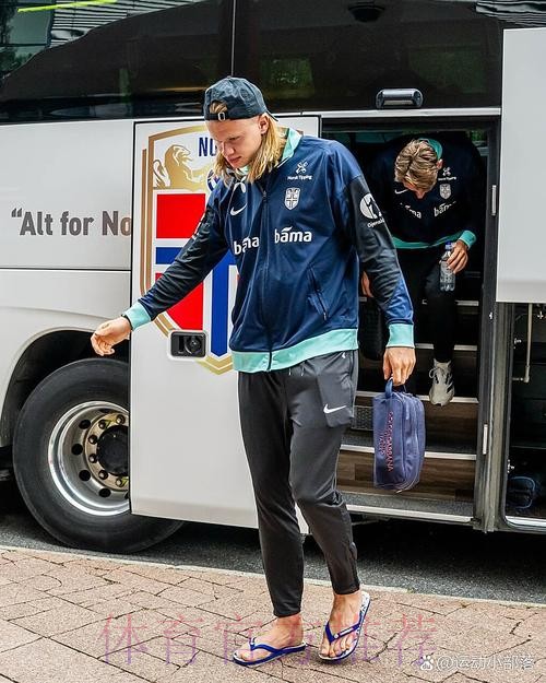 本届世界杯德国哈兰德比赛解读深度解读 本届世界杯德国哈兰德比赛解读深度解读